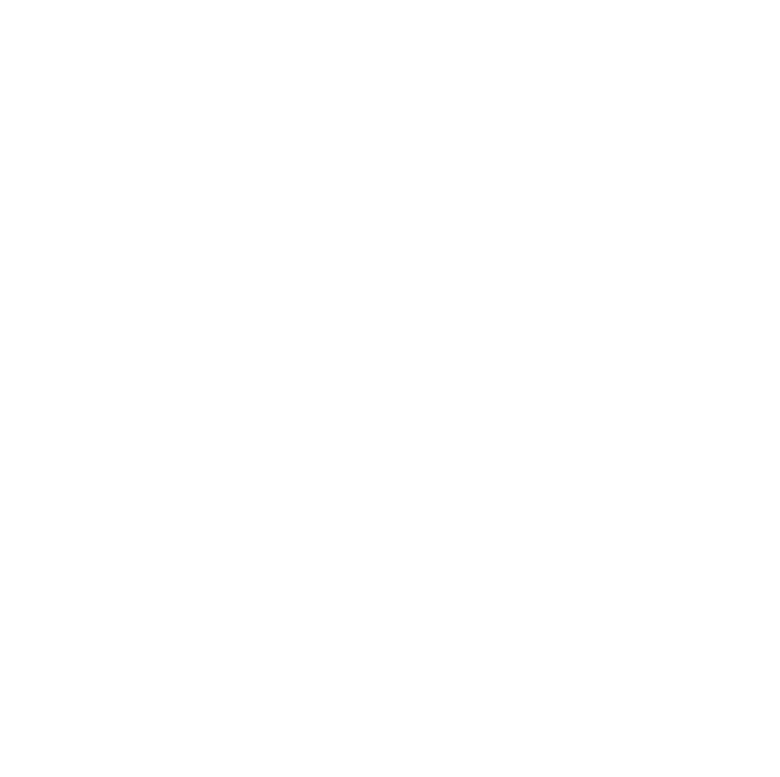 Logo NAA